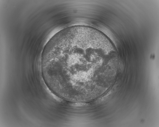 X0000094441290200711291627