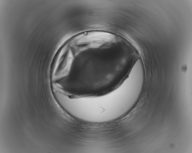 X0000094441291200711291627