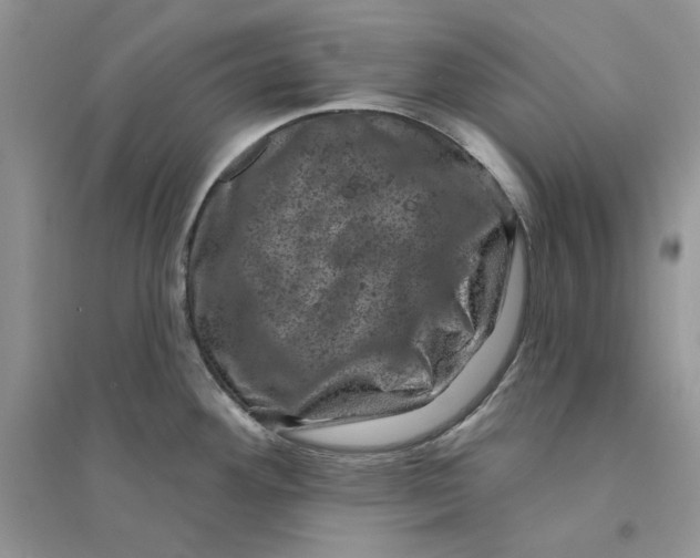 X0000094441292200711291627