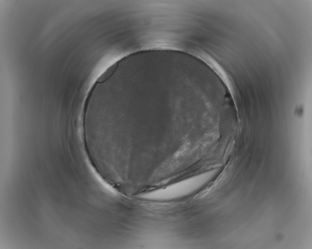 X0000094441293200711291627