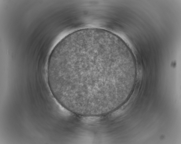 X0000094441294200711291627