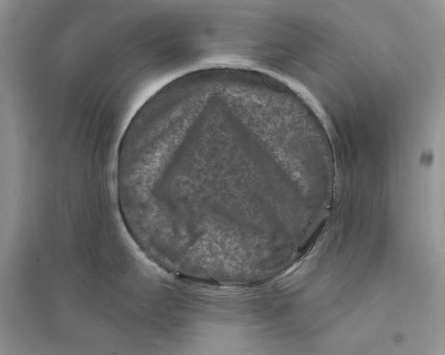 X0000094441295200711291627