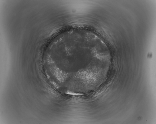 X0000094441297200711291626