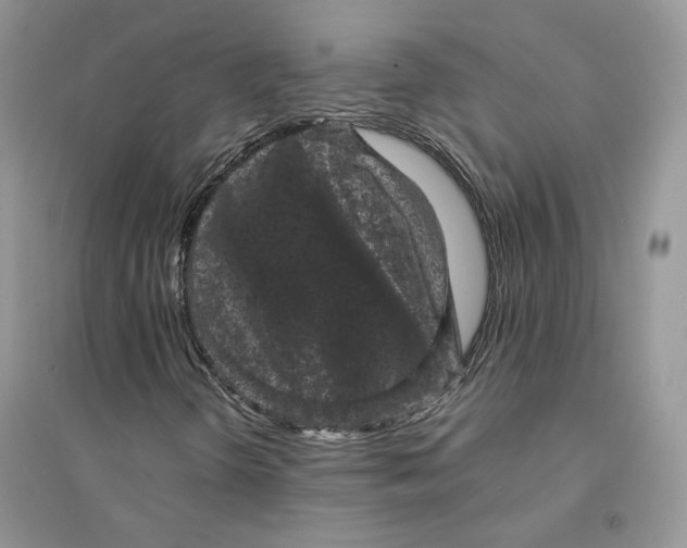 X0000094441298200711291626