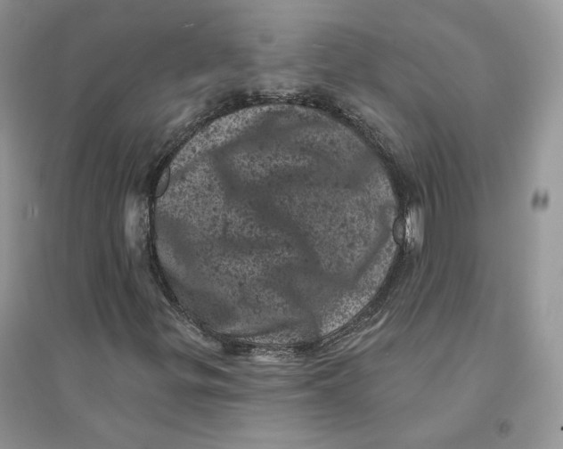 X0000094441299200711291626