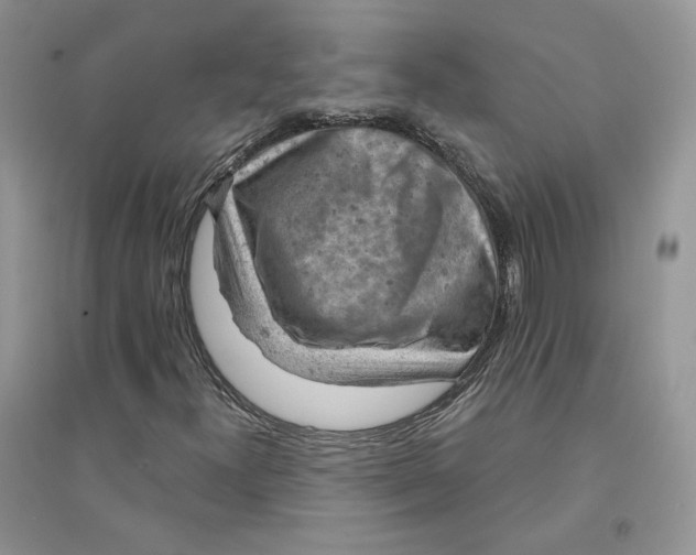 X0000094441300200711291626