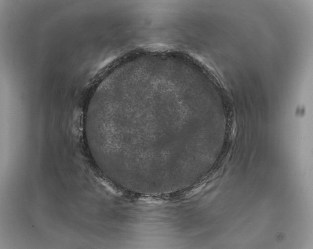 X0000094441301200711291626