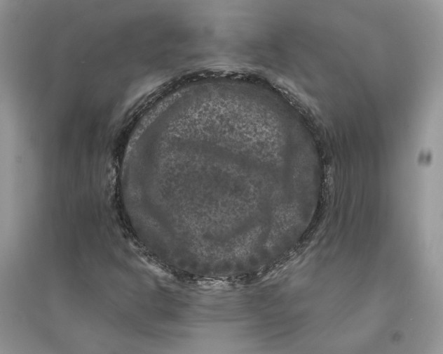 X0000094441302200711291626