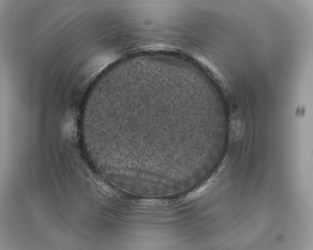 X0000094441305200711291626