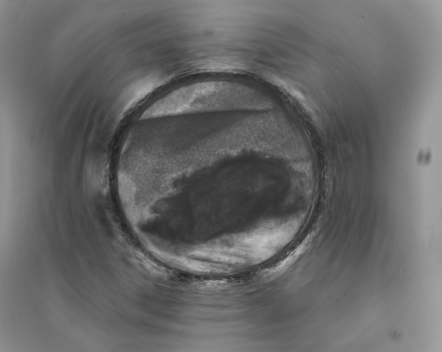 X0000094441306200711291626