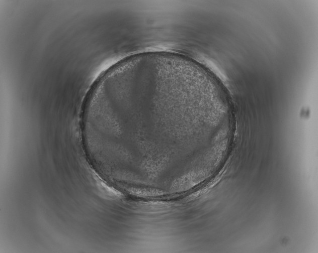 X0000094441308200711291626