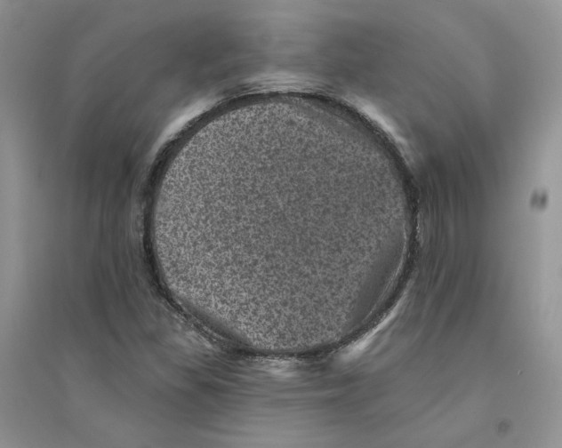 X0000094441309200711291626