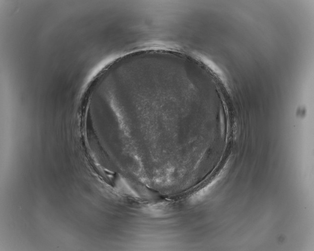 X0000094441310200711291626