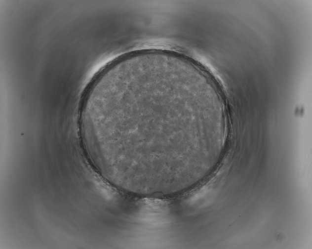 X0000094441312200711291626