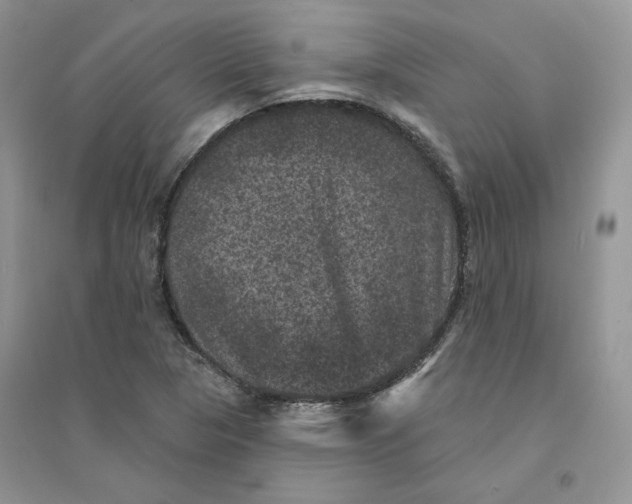 X0000094441313200711291626