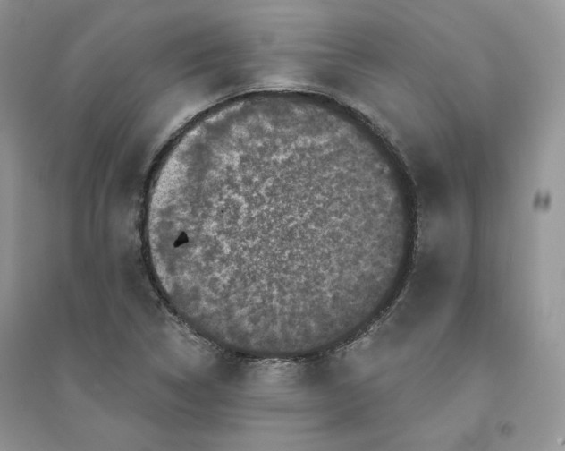 X0000094441314200711291626