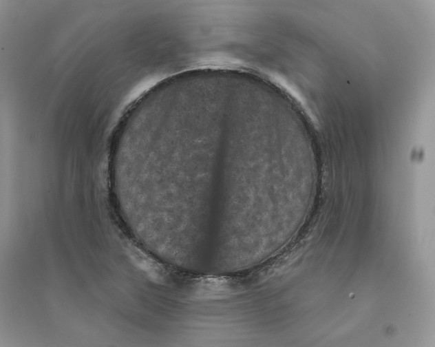 X0000094441315200711291626