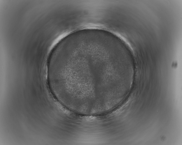 X0000094441317200711291626