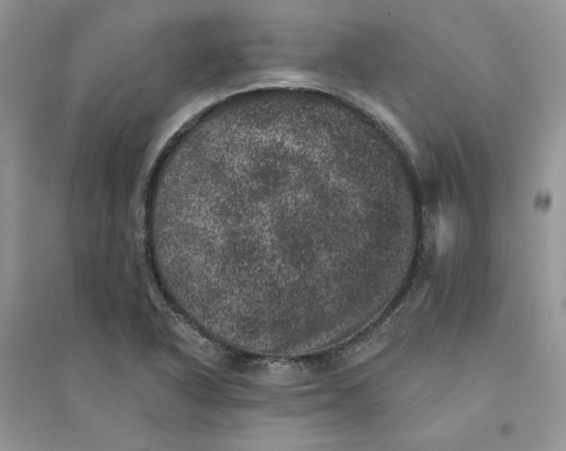 X0000094441318200711291626