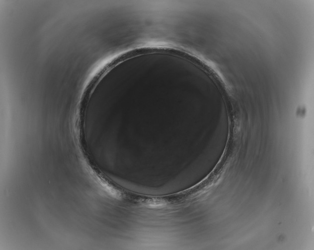 X0000094441319200711291626