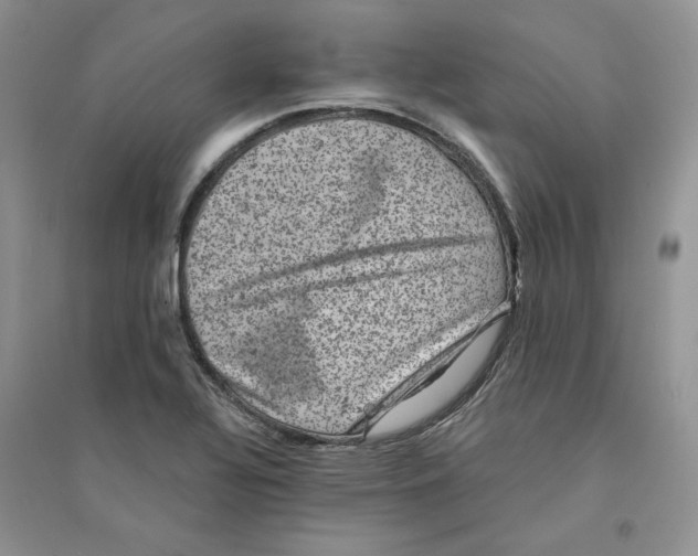 X0000094441320200711291626