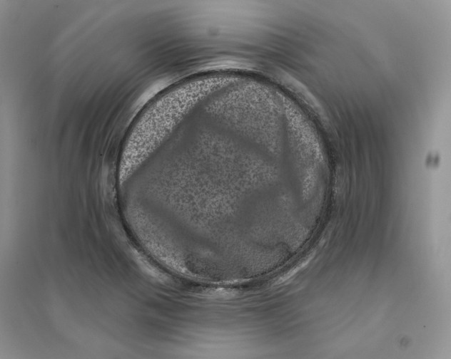 X0000094441321200711291626