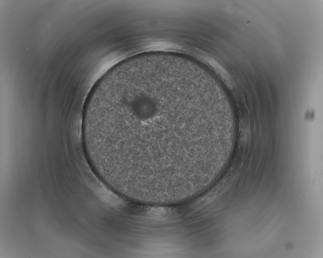 X0000094441322200711291626