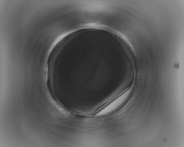 X0000094441323200711291626