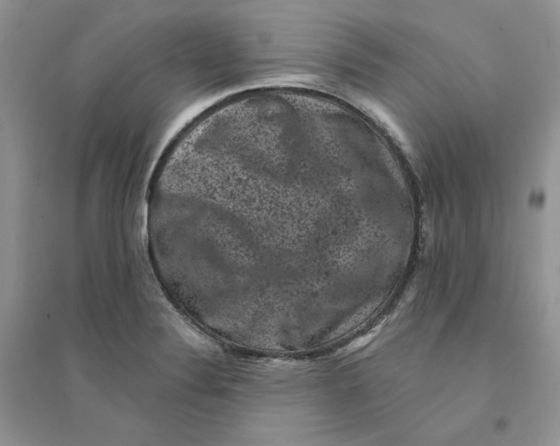 X0000094441324200711291627