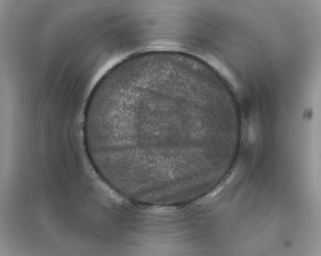 X0000094441325200711291627