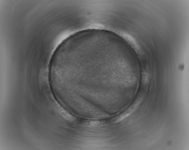 X0000094441326200711291627