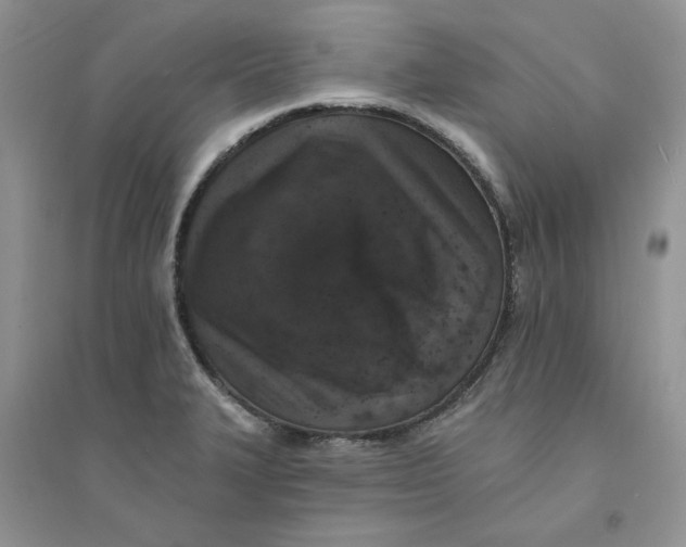 X0000094441327200711291627