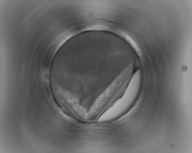 X0000094441329200711291627