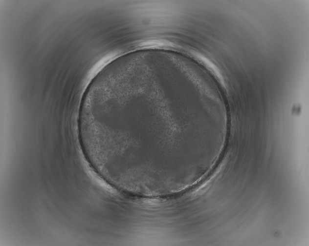 X0000094441330200711291627