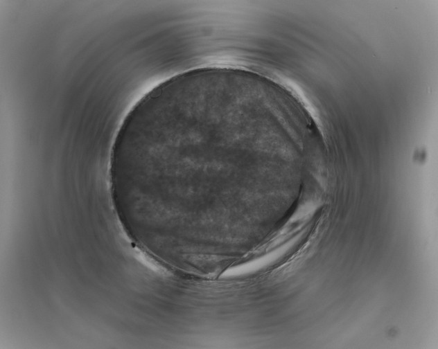 X0000094441331200711291627