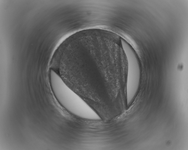 X0000094441332200711291627