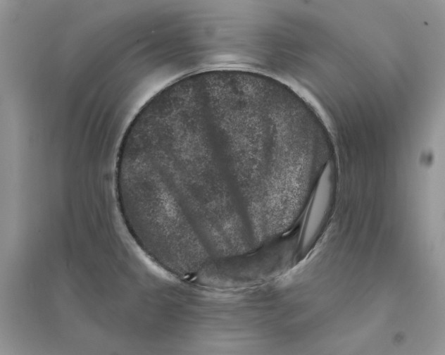 X0000094441333200711291627