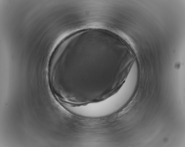 X0000094441334200711291627