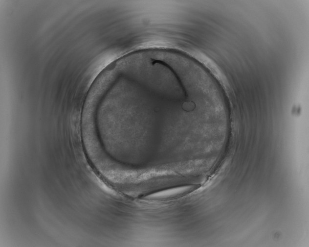 X0000094441337200711291627