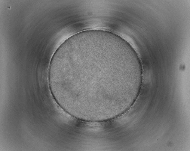 X0000094441338200711291627