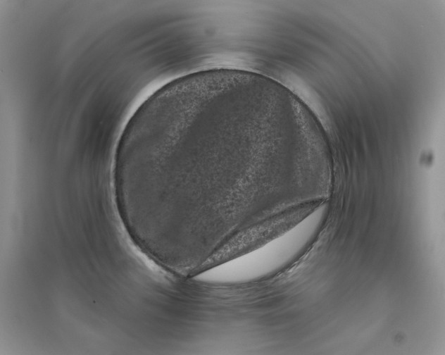 X0000094441339200711291627