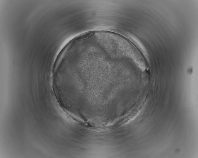 X0000094441340200711291627