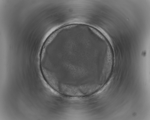 X0000094441341200711291627