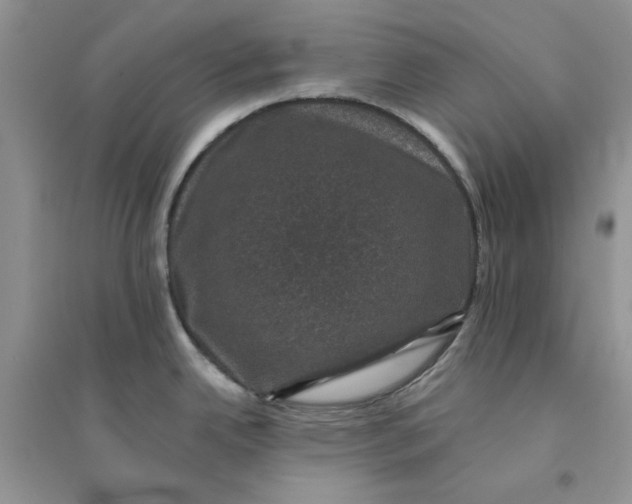 X0000094441342200711291627