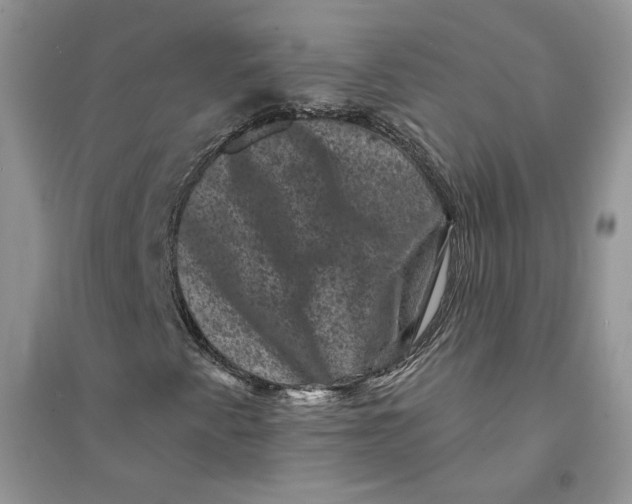 X0000094441345200711291626