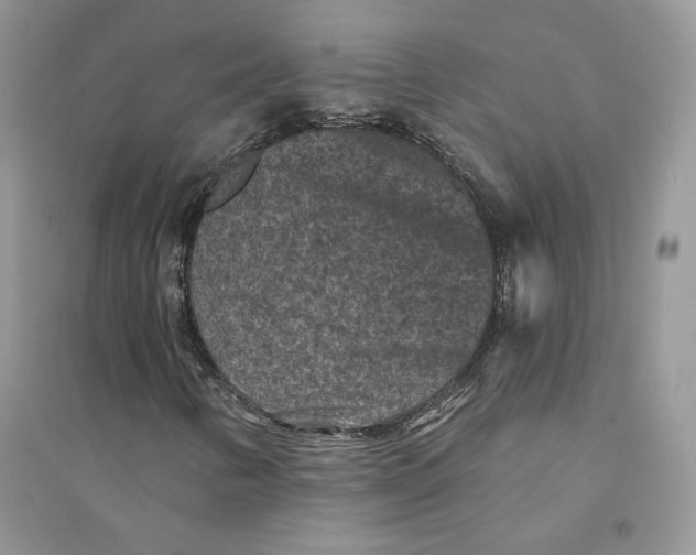 X0000094441346200711291626