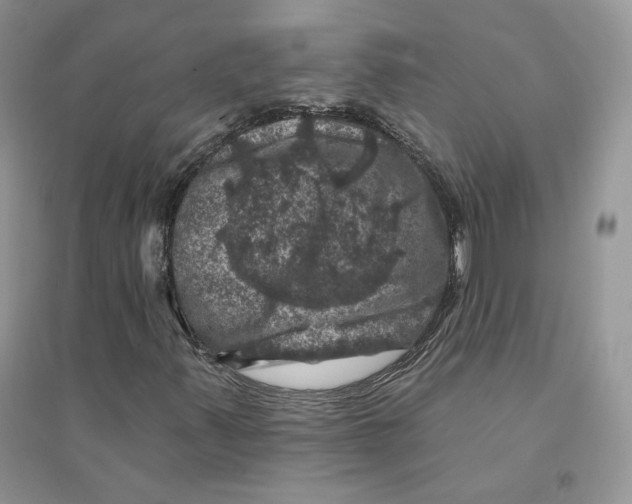 X0000094441347200711291626