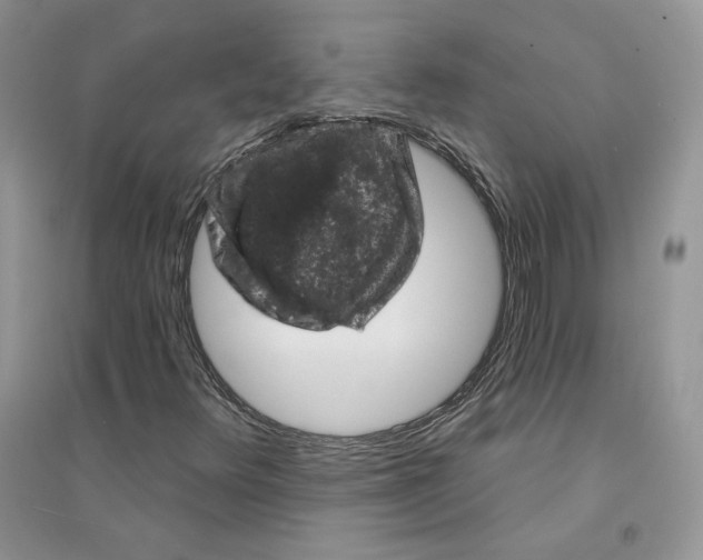 X0000094441348200711291626