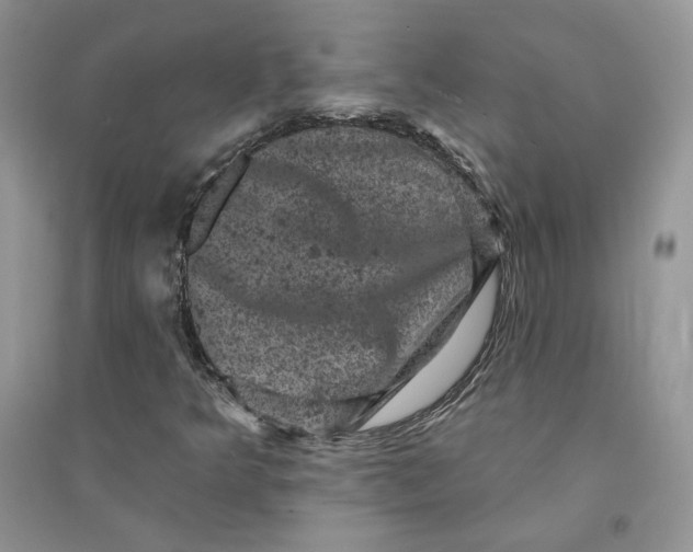 X0000094441349200711291626