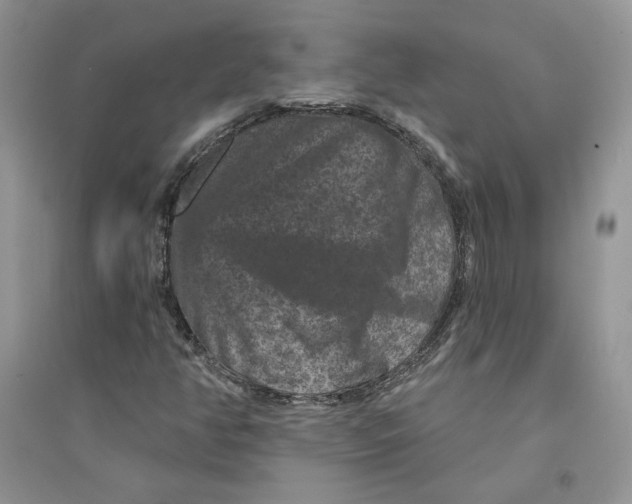 X0000094441350200711291626